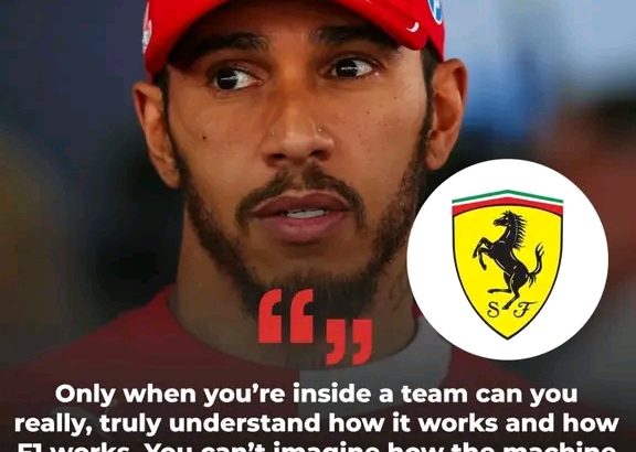 FB_IMG_17622097959103481