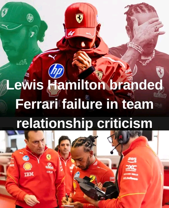 FB_IMG_17624991884406615