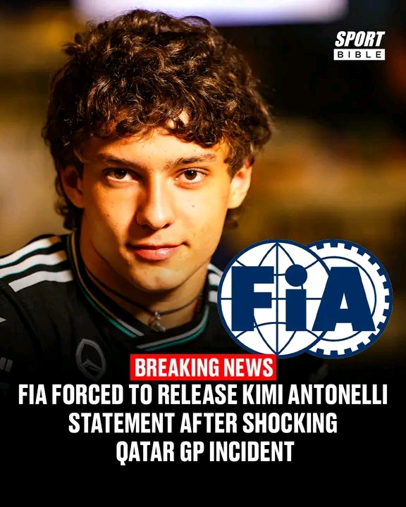 FB_IMG_17646225625999639